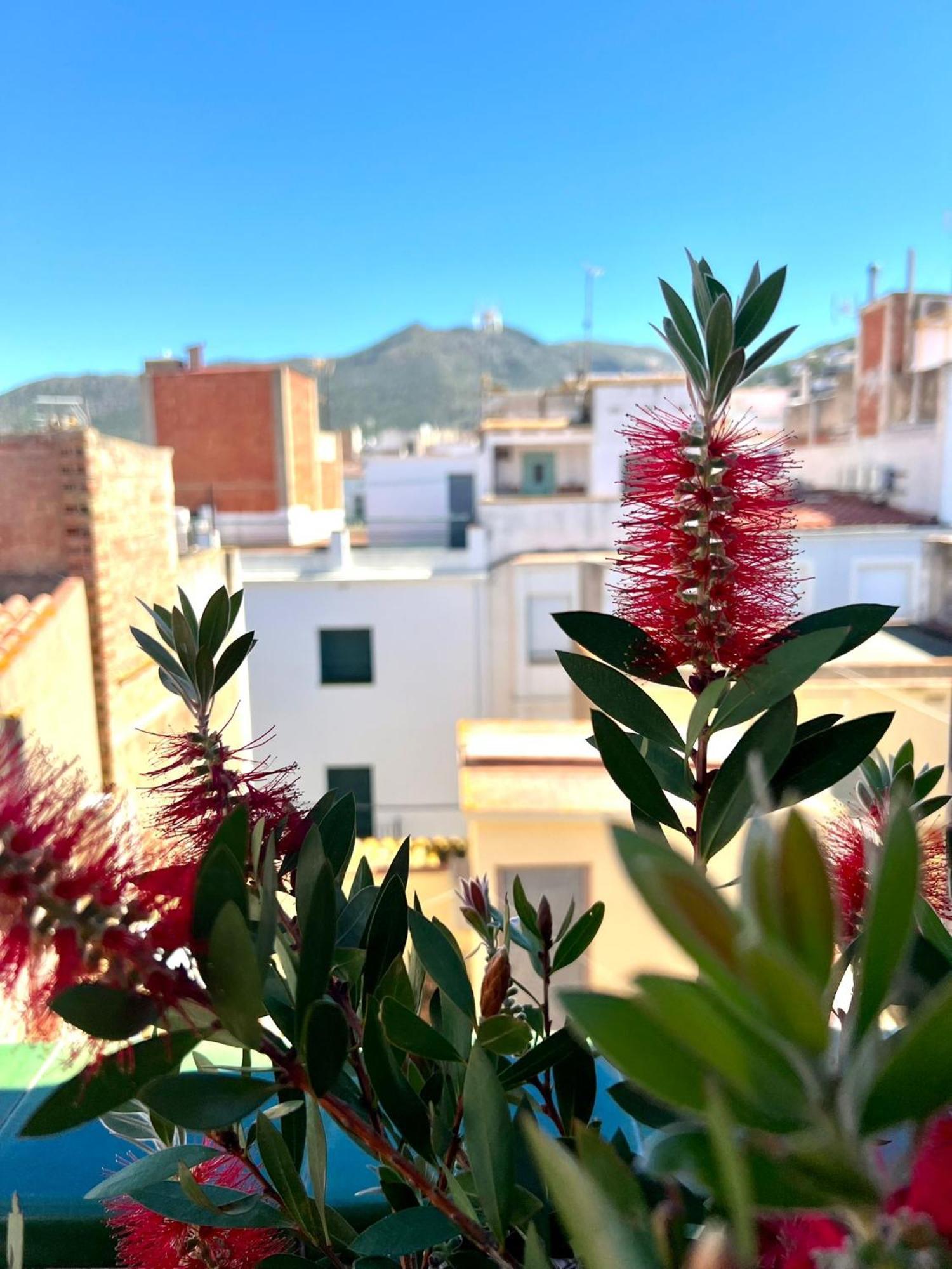 Escondite Central Con Terraza Compartida En La Azotea Roses Ngoại thất bức ảnh
